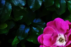 Pretty in Pink Detail